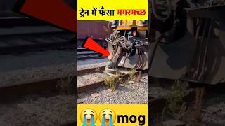 train railway railway indianrailwaytrainsimulatornewroute you tube shorttrain video 2024 [upl. by Sukey921]