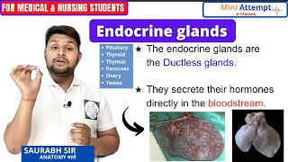 Endocrine glands and their hormoneseasy explain in Hindi  Mini attempt e classesSaurabh sir [upl. by Martreb]