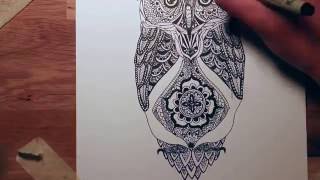 OWL ZENTANGLE [upl. by Danyluk]