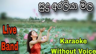 Sudu Araliya Mala Karaoke Without Voice සුදු අරලියා මල [upl. by Karleen]