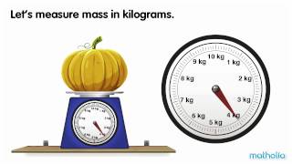 Using a Scale  Kilograms [upl. by Intyre]