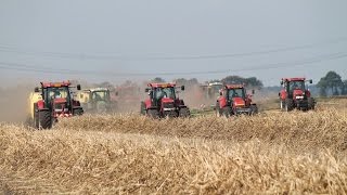 Hennep stro harken en persen bij Hempflax Oude Pekela met 8 combinaties [upl. by Oirelav928]