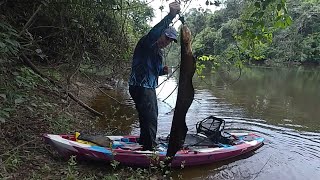 MEU MAIOR PEIXE ELETRICO MEU MAIOR CHOQUE Electric eel Pescaria [upl. by Adda448]