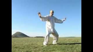 DVD qigong  La Grue blanche [upl. by Deaner]