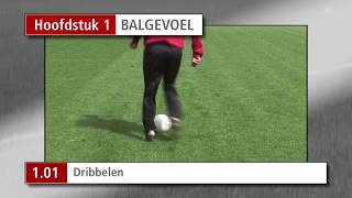 Oefeningen Hoofdstuk 1 Balgevoel [upl. by Alegnaed]