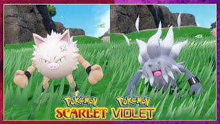 Pokemon Scarlet amp Violet How To Evolve Primeape into Annihilape [upl. by Engvall]