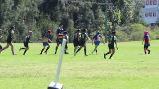 2024 U11A Plate Final  Western Raptors v Harbord Harlequins [upl. by Enileve]