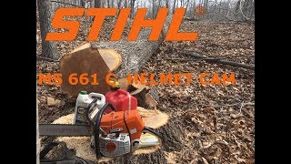 POV  Unedited MS661C Felling Footage Stihl Ms661 Logging [upl. by Valdas]