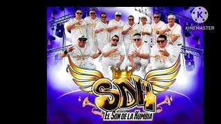 CANCHAME  SDK EL SON DE LA KUMBIA OFICIAL EN VIVO audio [upl. by Anihtyc566]