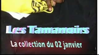 Les Tamanoirs  La collection du 02 janvier [upl. by Ellora88]