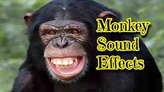 Monkey Sound Effects [upl. by Lleddaw]