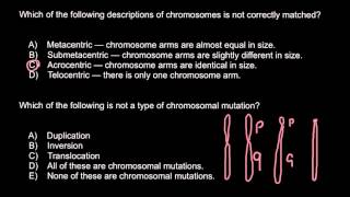 Chromosomes Metacentric Submetacentric Acrocentric Telocentric [upl. by Frans]