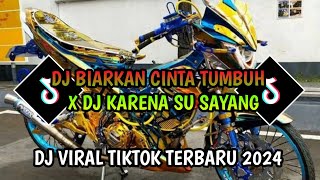 DJ BIARKAN CINTA TUMBUH X DJ KARENA SU SAYANG  VIRAL TIKTOK TERBARU 2024 [upl. by Ihcur333]