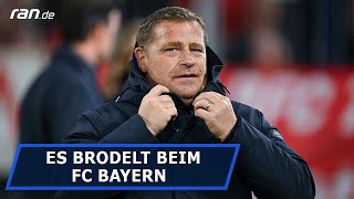 quotEberl macht genau das Richtigequot Experte stärkt BayernBoss [upl. by Sidonnie]