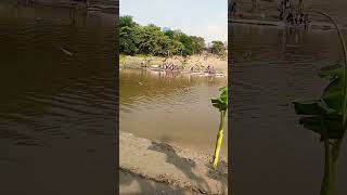 chhathpuja song trending shorts [upl. by Ynos791]