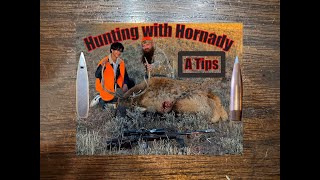 Are Hornady A Tips good for hunting [upl. by Flan]