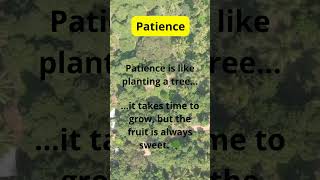 Seeds of Wisdom – Patience  motivation agelesswisdom quotes facts hiddenwisdom [upl. by Signe]