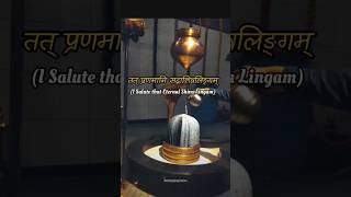 lingashtakam part 3 Full lyrics video brahma murari shorts youtubeshorts mahadev [upl. by Eimmelc896]