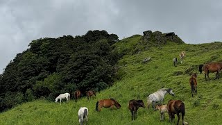 Mundhum trial ⛰️Bhojpur [upl. by Arva62]