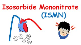 Isosorbide Mononitrate  Mechanism precautions side effects amp uses [upl. by Eimmot]