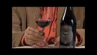 Masi Riserva di Costasera Amarone Classico DOC [upl. by Ellenij681]