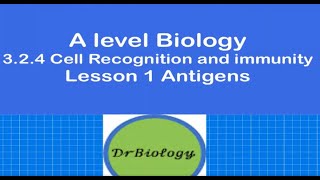 Lesson 1 Antigens Alevel Biology [upl. by Eniloj]