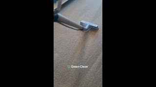 SO SATISFYING CARPET CLEAN [upl. by Mulderig305]