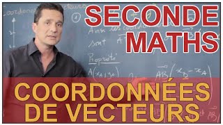 Coordonnées de vecteurs  Maths seconde  Les Bons Profs [upl. by Liarret79]