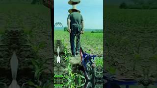 মাটি আলগা করার Soil raising and covering machine for smartfarming Agriculture work shortvideo [upl. by Oflodur]