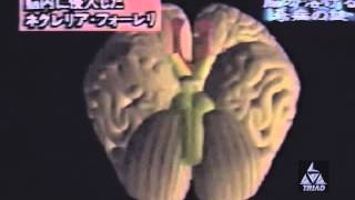 TRIAD RESEARCH LABORATORIES  Dream Paralysis 2014 MUSIC VIDEO [upl. by Flosser]