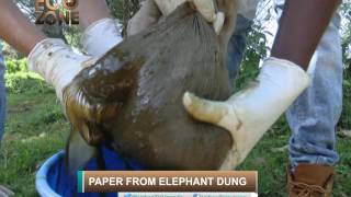 ECOZONE Paper from Elephant Dung Part A [upl. by Llertnov]