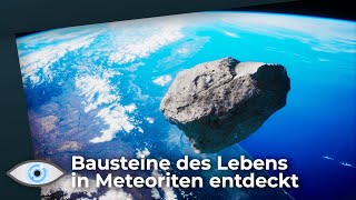 Entdeckung von Außerirdischen  Grundlegende Bausteine des Lebens in Meteoriten entdeckt [upl. by Eibbil]