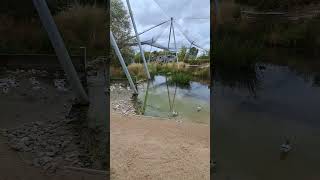 Waterscapes Aviary Slimbridge WWT [upl. by Atiuqad]