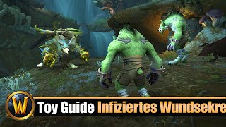 WOW Spielzeug Guide 316 Infiziertes Wundsekret [upl. by Eelahs]