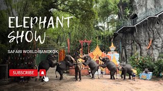 Elephant show bangkok [upl. by Kaasi]