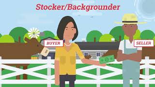 StockerBackgrounder Checkoff Collections [upl. by Mab695]