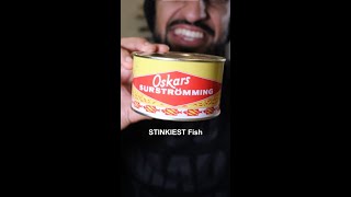 Lets Try the STINKIEST FISH in the World Surströmming [upl. by Pierette]