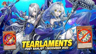 Deck Tearlaments Post Banlist EDOPRO  Replays 🎮  Decklist ✔️ [upl. by Nauqed]