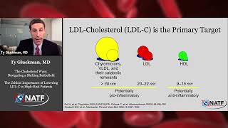 The Cholesterol Wars The Critical Importance of Lowering LDLC in HighRisk Patients [upl. by Whittaker]