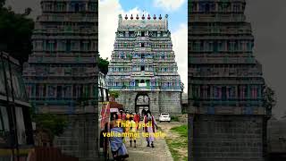 Thillaiyadi valliammai temple thiruvannamalai shortsvideo travelshorts [upl. by Halfon]