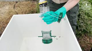 How To Clean Your Bird Feeder [upl. by Duleba]