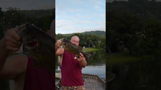 Smallmouth hit spinnerbaits with 😡 susquehannariver fishing jetboat [upl. by Acinnej64]