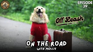 On the Road with Molly [upl. by Viv]