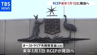 ＲＣＥＰ来年１月１日発効決定 日中韓含む地域経済連携はじまる [upl. by Oibaf]