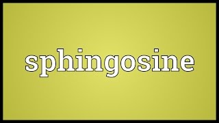 Sphingosine Meaning [upl. by Nealy606]