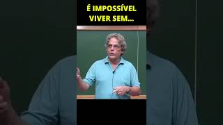 É IMPOSSÍVEL VIVER SEM MATEMÁTICA  Ledo Vaccaro [upl. by Sura]