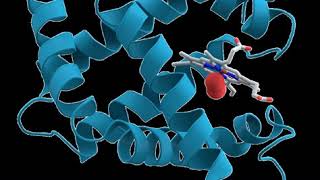 Biosynthetic pathway  Wikipedia audio article [upl. by Enyledam]