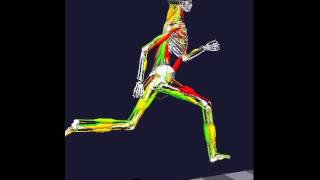 Running biomechanics rotating [upl. by Cesar]