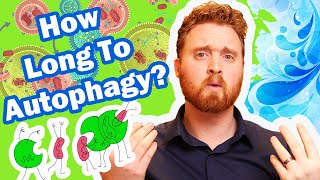 Autophagy Fasting How Long Do You Need To Fast To Reach Autophagy [upl. by Vincents]