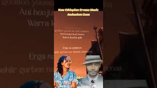 Andualem Gosa ft teamir gizaw  new Ethiopian oromo music [upl. by Atiuqram]